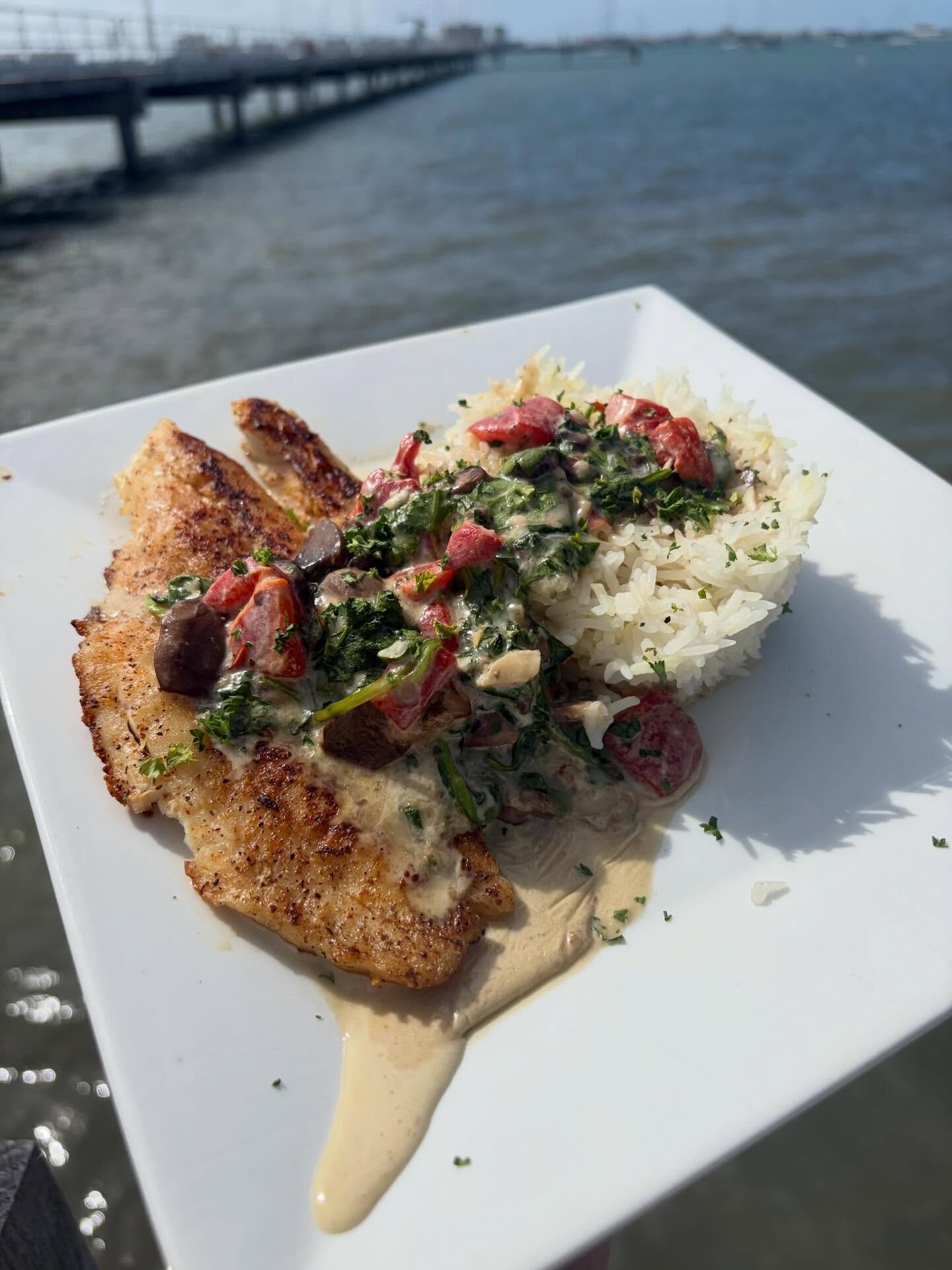 A fish plate with the pier over the bay