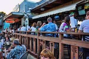 Regulars at the bar